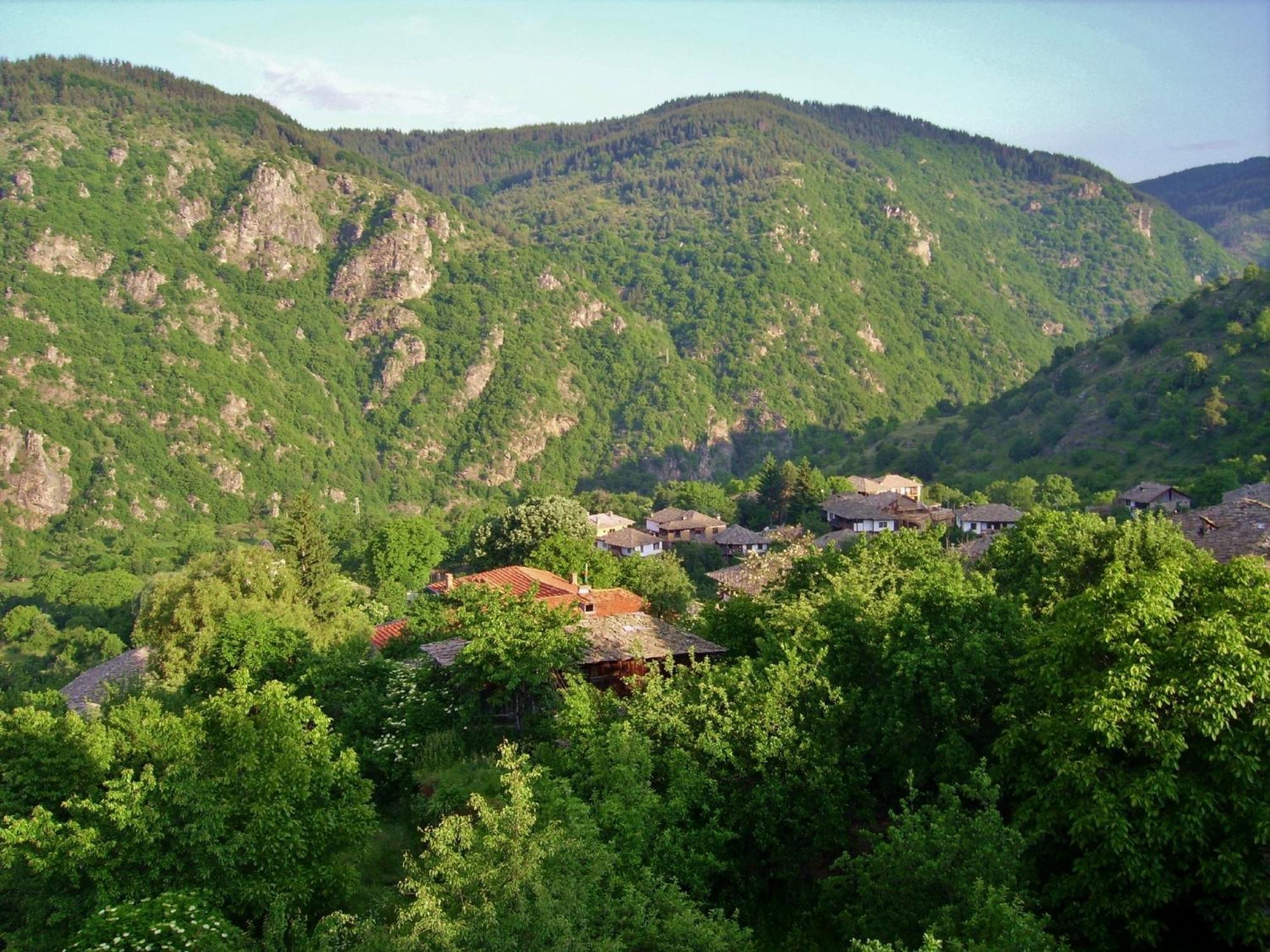 Family Hotel Byalata Kashta Kovacevica Exterior photo